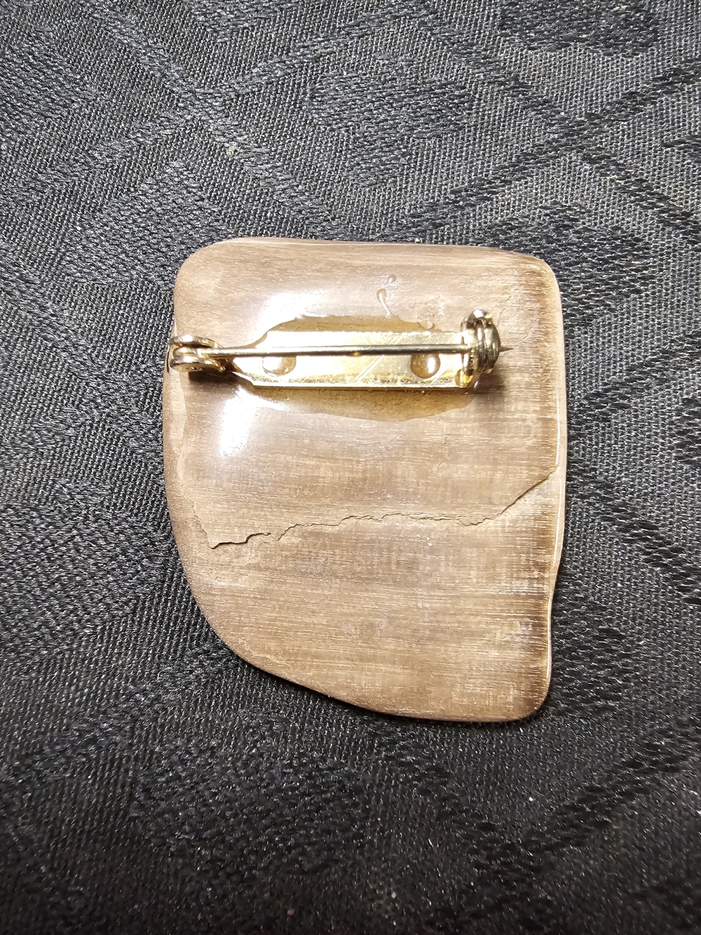 Polished Petrified Wood Brooch View 2